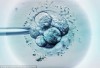 Nổ lực đầu tiên của các nhà khoa học Anh về thiết lập phôi người biến đổi gen để tìm hiểu tại sao một số phụ nữ phải chịu khổ bị sẩy thai nhiều lần