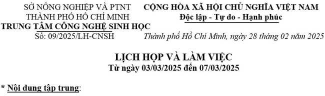 tuan 9