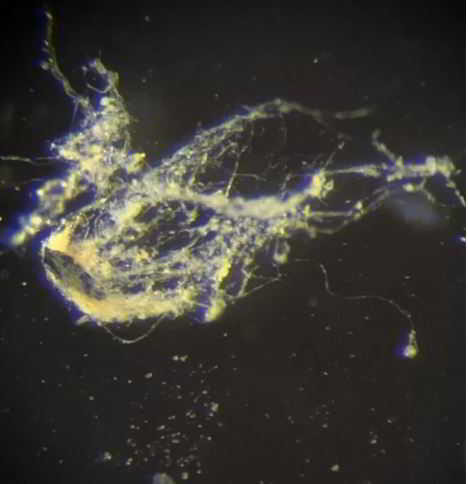 2805 1