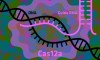 Làm cách nào để công cụ chỉnh sửa gen CRISPR hoạt động tốt hơn nữa