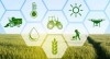 10 Xu hướng nông nghiệp hàng đầu cần theo dõi trong năm 2022