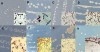 Harnessing Indigenous Bacteria toward Biological Solutions for PE, PET, and PS Plastic Waste Treatment