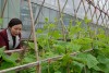 'Sức khỏe' giới khoa học nông nghiệp: Bài 2 - Đời sống nhà khoa học chỉ hơn được mỗi nông dân